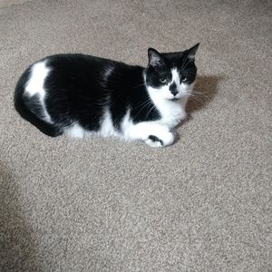 Meet your Posher, Sherry